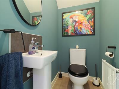 Picture 8